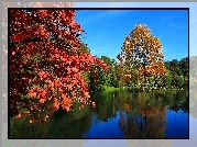 Park, Staw, Jesień, Kolorowe Drzewa