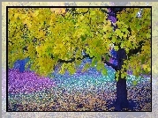 Drzewa, Kolorowe, Liście, Park, Jesień