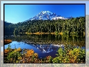 Stany Zjednoczone, Stan Waszyngton, Park Narodowy Mount Rainier, Góry, Las, Jezioro