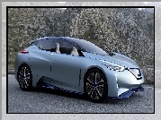 Nissan, IDS, Droga, Góra, Concept