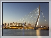 Most, Rotterdam, Holandia, Erasmus Bridge