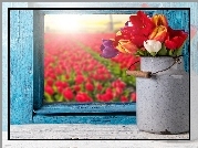 Tulipany, Kwiaty, Okno