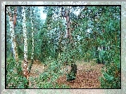 Las, Drzewa, Rośliny, Zieleń