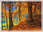 Drzewa, Nad Jeziorem, Opadłe Liście, Park