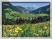 Tyrol, Dolina, Wildschoenau, Lasy, Łąka, Wioska