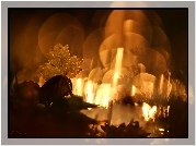 Liść, Wieczór, Na, Łące, Bokeh