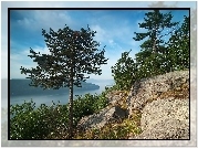 Jezioro, Las, Skały