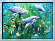 Delfiny, Kolorowe, Rybki