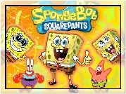 Spongebob, Kanciastoporty