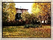 Jesień, Drzewa, Budynek
