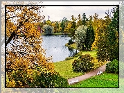 Park, Staw, Jesień