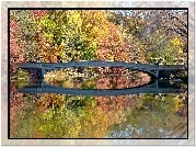 Jesień, Central, Park, Rzeka, Most
