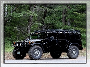 Las, Hummer