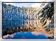 Zima, Lasy, Jezioro, Odbicie