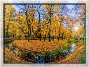 Park, Rzeczka, Drzewa, Promienie, Słońca, Liście, Jesień