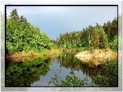 Jezioro, Las, Światło, Cień, Odbicie