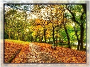 Park, Ławeczka, Rzeka, Jesień