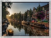 Amsterdam, Kanał, Barki, Domy, Drzewa