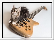 Kot, Gitara