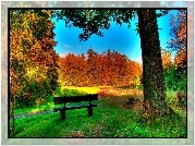 Park, Ławka, Jesień