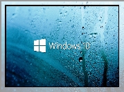 Windows 10, Zaparowane, Okno