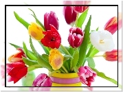 Kwiaty, Kolorowe Tulipany, Wazon, Bukiet