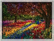 Park, Wiosna, Tulipany, Drzewa