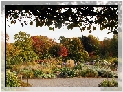 Park