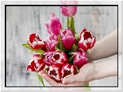 Kwiaty, Dlonie, Tulipany