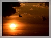 Zachód Słońca, Niebo, Chmury, Samolot