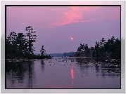 Jezioro, Las, Odbicie