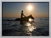 Morze, Słońce, Koń, Dziewczyna