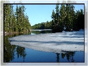Jezioro, Las