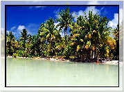 Morze, Wybrzeże, Palmy, Kiribati