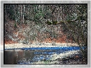Góry, Pieniny, Skarpa, Las, Rzeka, Dunajec, Wiosna
