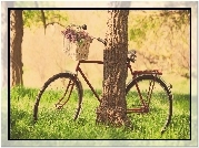 Rower, Drzewo, Trawa, Kosz, Kwiaty