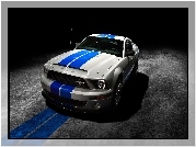 Ford Shelby, GT500