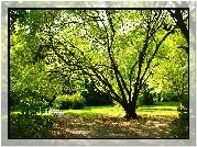 Wiosna, Park