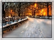 Park, Alejka, Śnieg, Oświetlenie