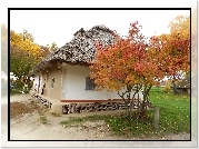 Jesień, Dom, Drzewa, Strzecha