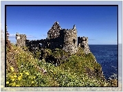 Zamek, Dunluce, Ruiny, Morze, Łąka, Irlandia, Północna