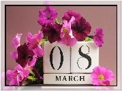 8 Marca, Dzień, Kobiet, Kwiaty, Petunia ogrodowa