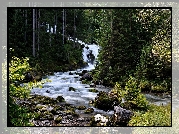 Las, Rzeka