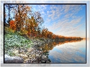 Jezioro, Kamienie, Drzewa