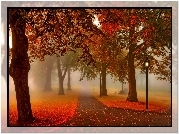 Park, Alejki, Latarnie, Mgła, Liście, Jesień