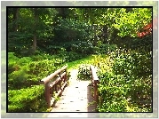 Park , Drzewa, Mostek