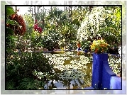 Ogród, Majorelle, Sadzawka, Marrakesz