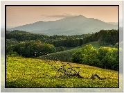 Wzgórza, Las, Niebo