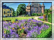 Zamek Linn, Burg Linn, Miejscowość Krefeld, Nardenia Północna-Westfalia, Niemcy, Ogród, Lawenda