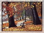 Park, Ławeczki, Opadłe, Liście, Rozmycie